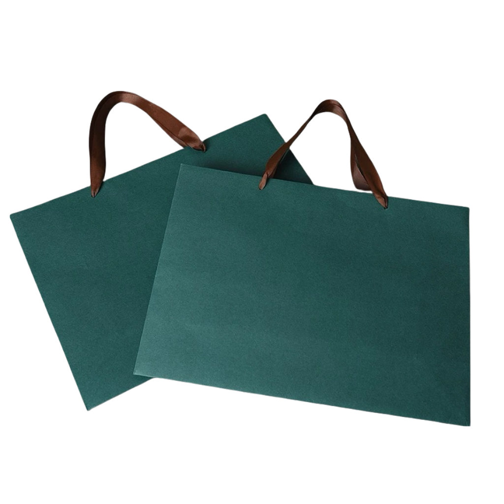 Stylish Green Paper Bag with Woven Handles in Small 300L x 230H x 120W SPB120205